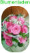 Blumenladen