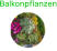 Balkonpflanzen